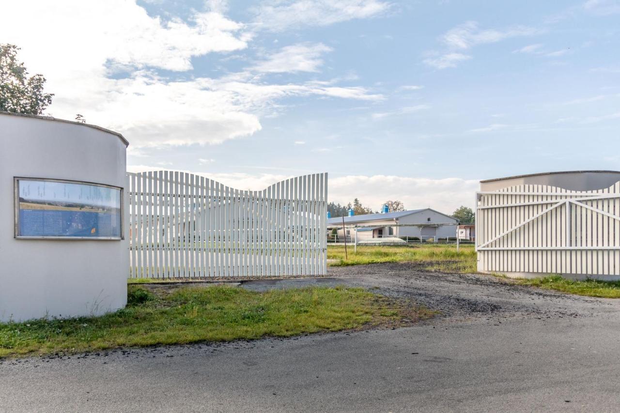 Farma Slunecny Dvur Apartmany A Family Stany Strecha Pod Strechou Hermanuv Mestec Bagian luar foto