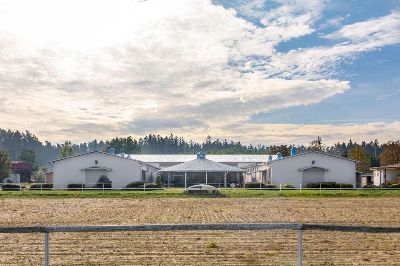 Farma Slunecny Dvur Apartmany A Family Stany Strecha Pod Strechou Hermanuv Mestec Bagian luar foto