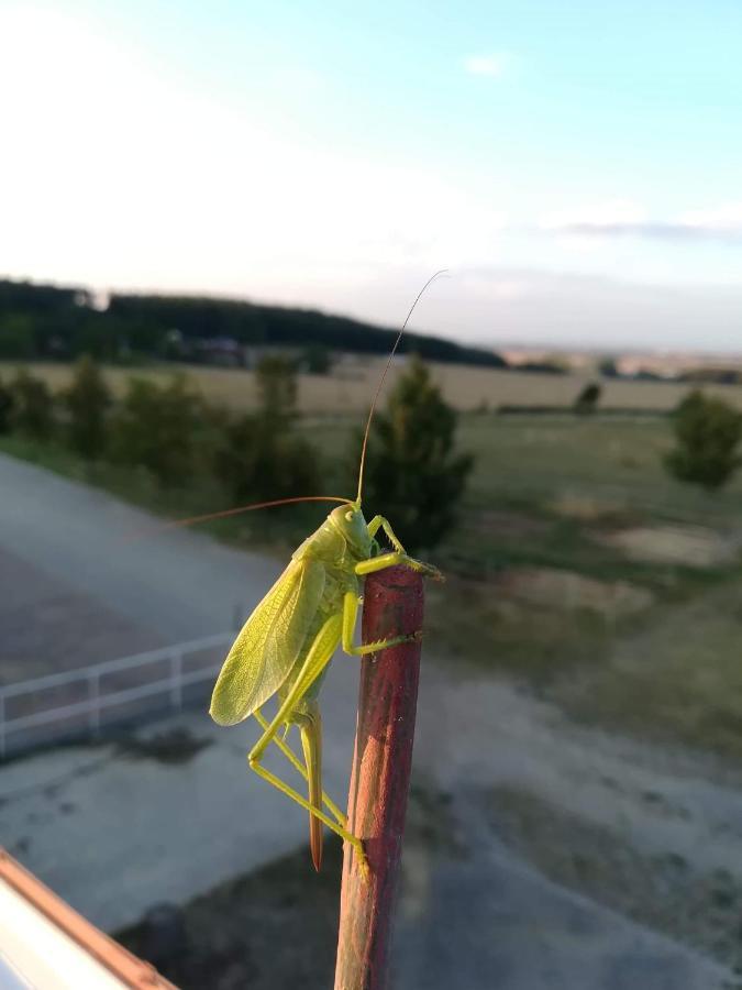 Farma Slunecny Dvur Apartmany A Family Stany Strecha Pod Strechou Hermanuv Mestec Bagian luar foto