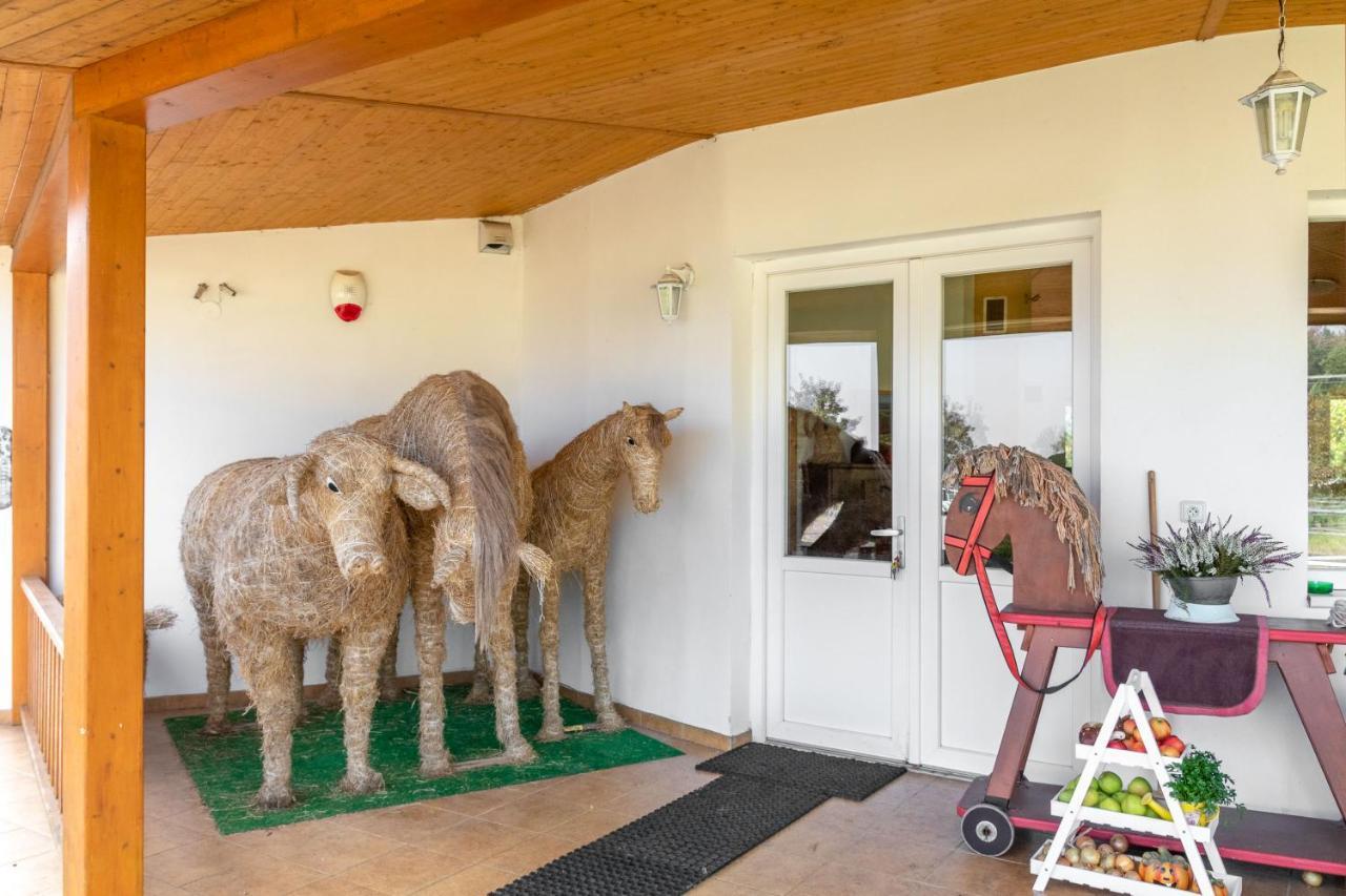 Farma Slunecny Dvur Apartmany A Family Stany Strecha Pod Strechou Hermanuv Mestec Bagian luar foto